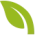 Icon grünes Blatt